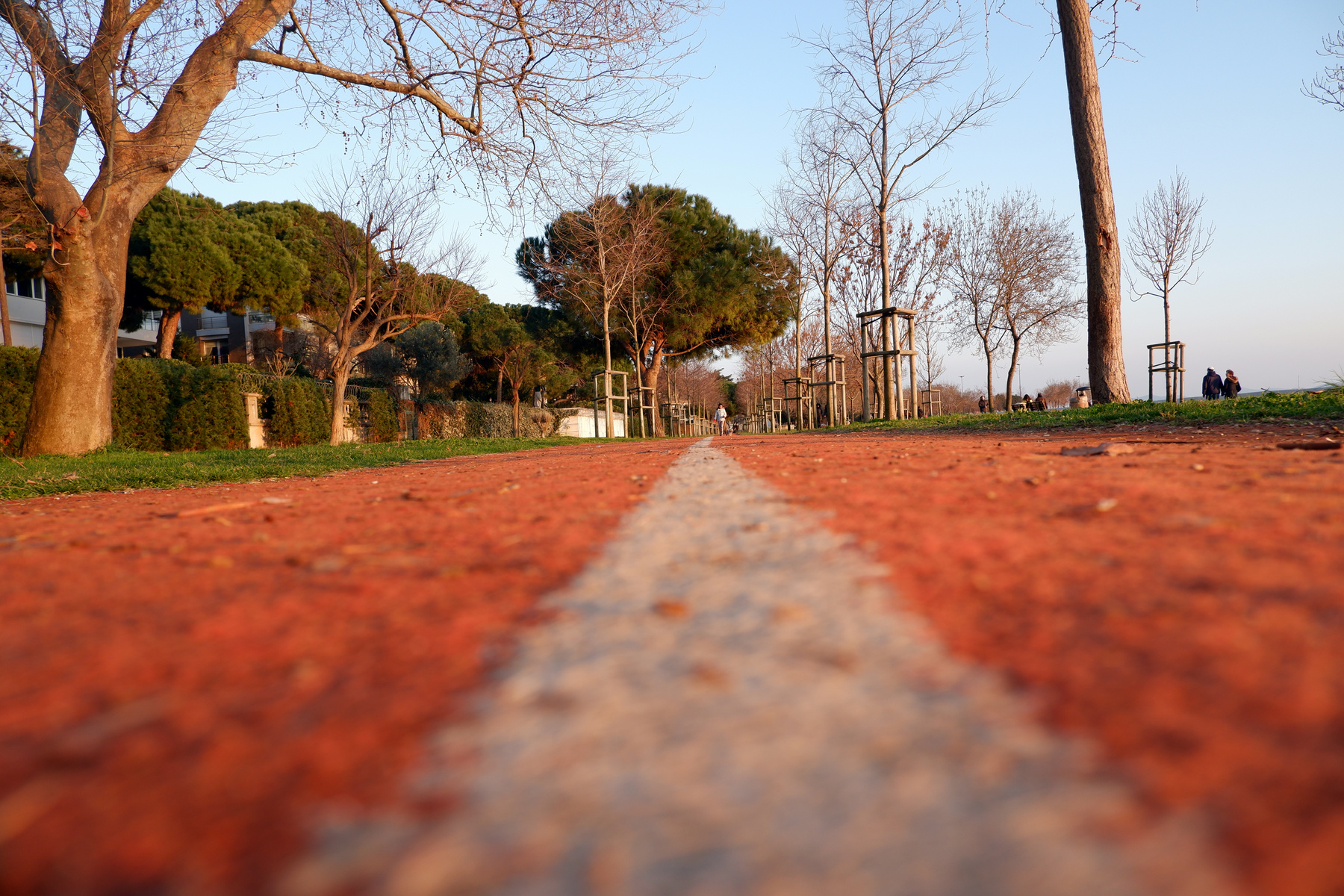 Jogging Track